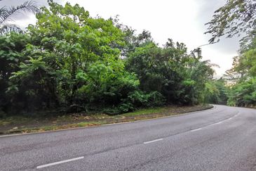 Bukit Gasing, Seksyen 5