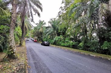 Bukit Gasing, Seksyen 5