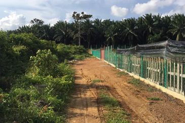 Agricultural land for sale in Batu 12, Port Dickson