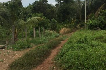 Agricultural land for sale in Batu 12, Port Dickson