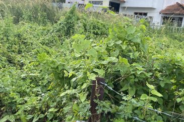 Bungalow lots for sale in Port Dickson town