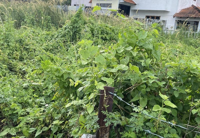 Bungalow lots for sale in Port Dickson town