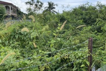 Bungalow lots for sale in Port Dickson town