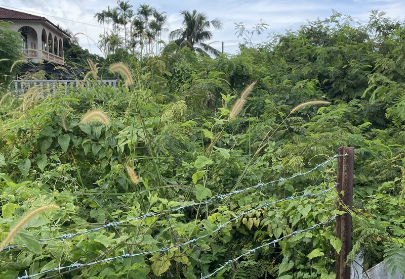 Bungalow lots for sale in Port Dickson town