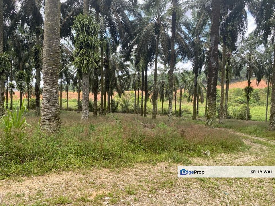 Seelong @ Johor 16.843 Acres Zoning Industry Land For Sale , Johor, Senai
