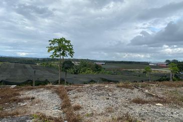 Ban Foo @ Johor 8.3 Acres Agricultural Land For Sale