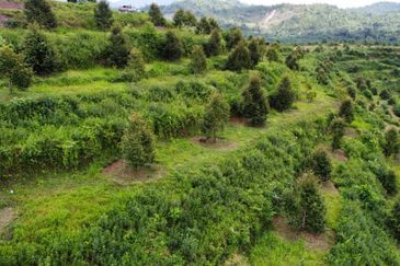 Jalan Bypass Kuantan