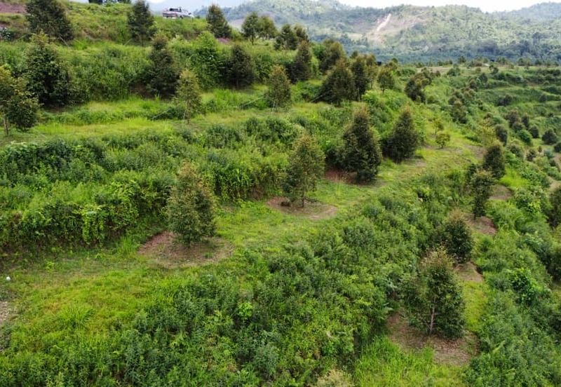 Jalan Bypass Kuantan