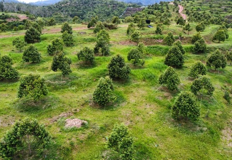 Jalan Bypass Kuantan