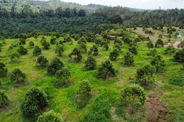 Jalan Bypass Kuantan