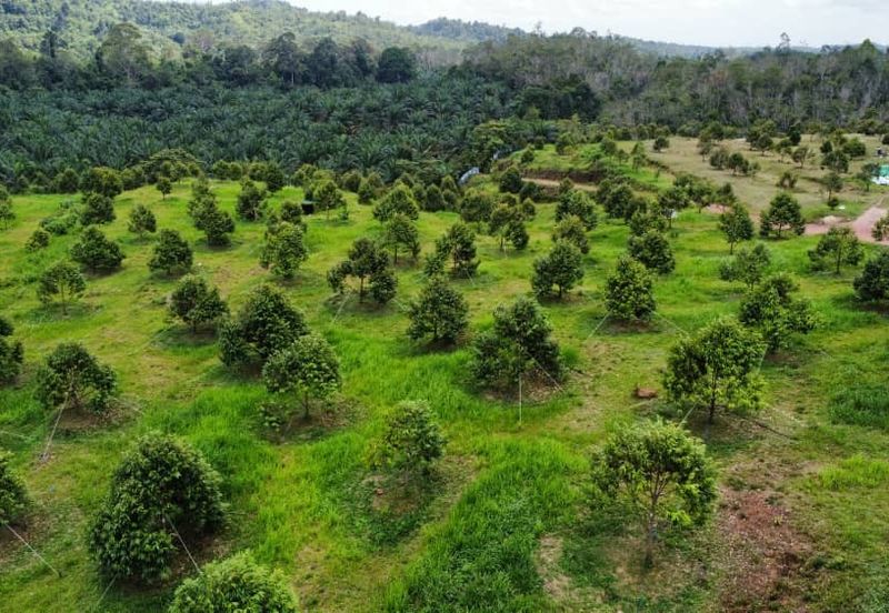 Jalan Bypass Kuantan