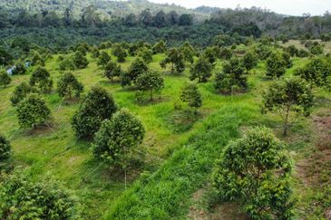 Jalan Bypass Kuantan