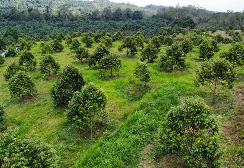 Jalan Bypass Kuantan