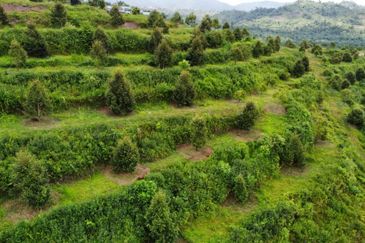 Jalan Bypass Kuantan