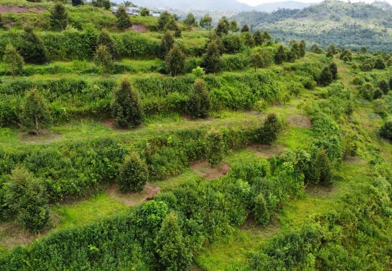 Jalan Bypass Kuantan