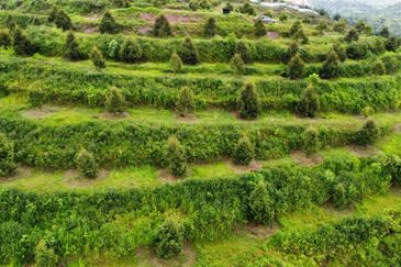 Jalan Bypass Kuantan