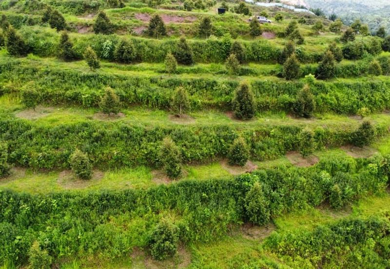 Jalan Bypass Kuantan