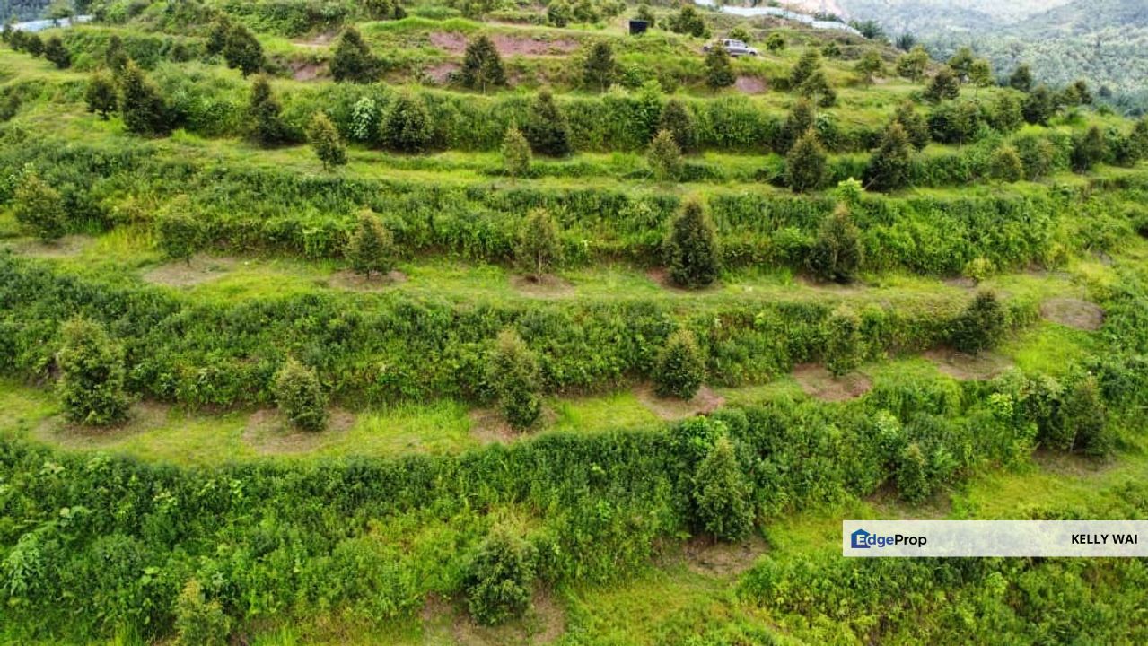 Kuantan @ Pahang 27 acres Agricultural Land For Sale, Pahang, Kuantan