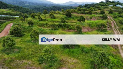 Kuantan @ Pahang 27 acres Agricultural Land For Sale, Pahang, Kuantan