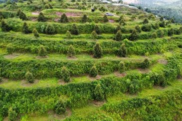 Jalan Bypass Kuantan