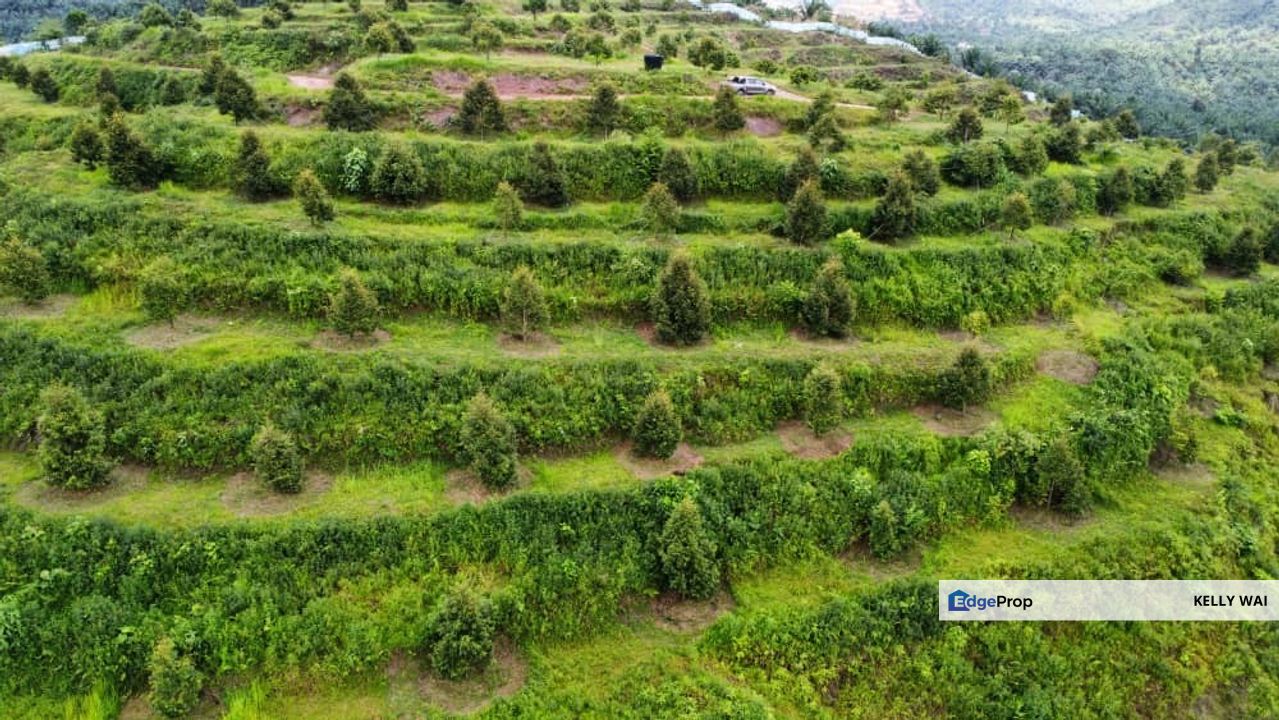 Kuantan @ Pahang 27 acres Agricultural Land For Sale, Pahang, Kuantan