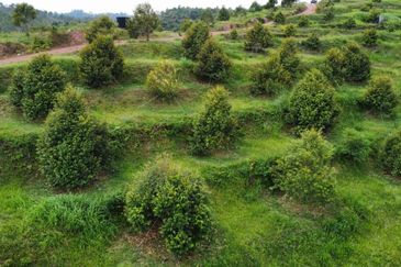 Jalan Bypass Kuantan