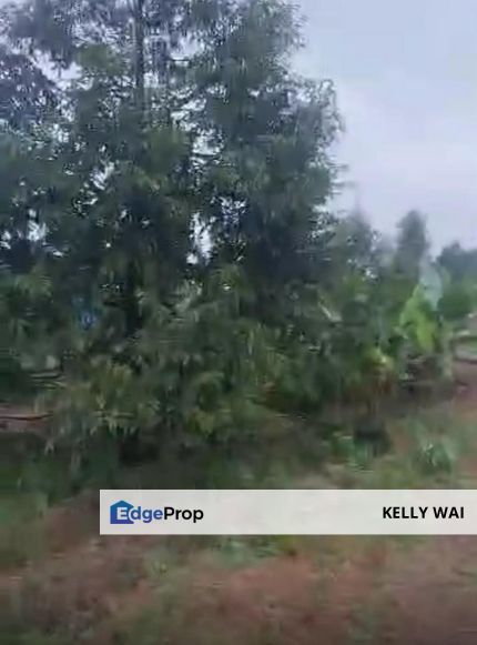 Teratai @ Jementah 35 acres Agricultural Land For Sale, Johor, Johor Bahru