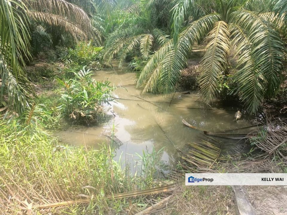 Johor @ Kota Tinggi 12.8 acres Agricultural Land For Sale, Johor, Ulu Tiram