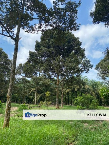 Johor @ Pontian 4 acres Agricultural Land For Sale, Johor, Pontian