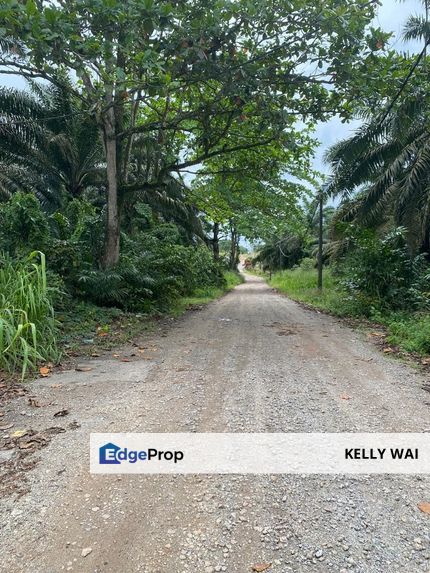 Johor @ Kota Tinggi 9.5 Acres Agricultural Land For Sale, Johor, Ulu Tiram