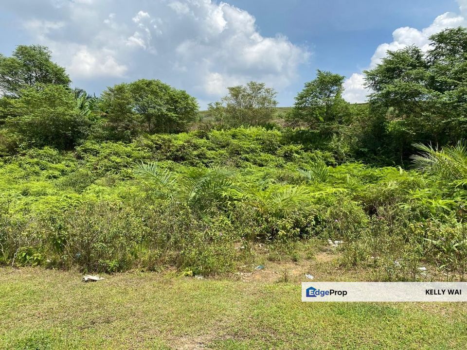 Senai Idaman @ Seelong 35 Acres Agricultural Land For Sale, Johor, Senai