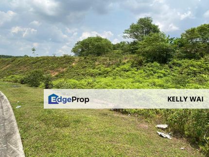 Senai Idaman @ Seelong 35 Acres Agricultural Land For Sale, Johor, Senai