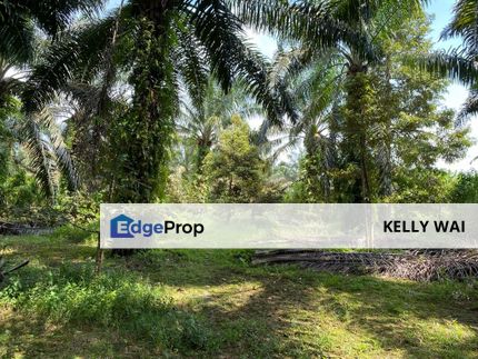 Kulai @ Senai 7 acres Agricultural Land For Sale, Johor, Kulai