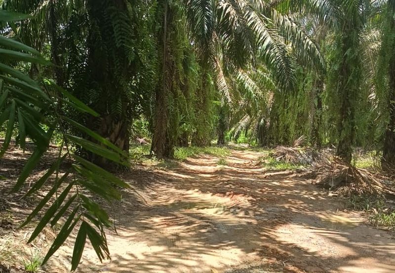 Kerling Industrial Land