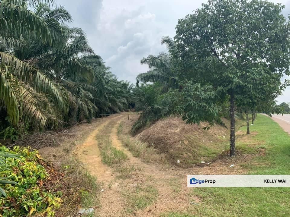 Johor @ Simpang Renggam 320 Acres Agricultural Land For Sale, Johor, Kluang