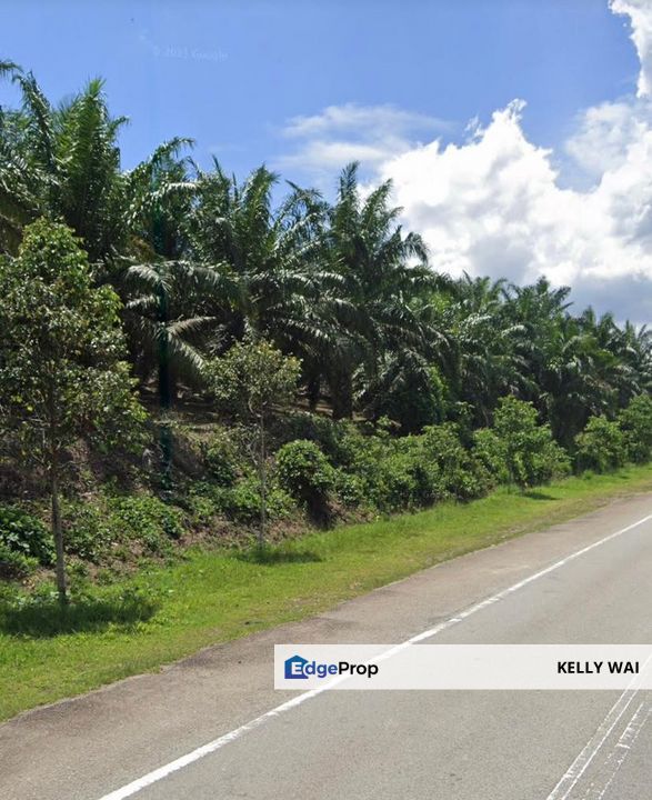 Johor @ Simpang Renggam 320 Acres Agricultural Land For Sale, Johor, Kluang