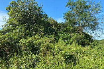 Taman Desa Cemerlang