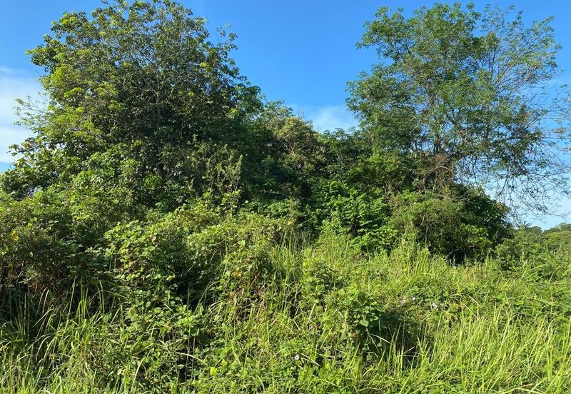 Taman Desa Cemerlang