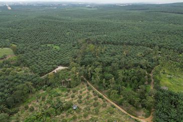 Jalan Trus, Bandar Johor Bahru