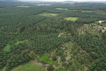 Jalan Trus, Bandar Johor Bahru