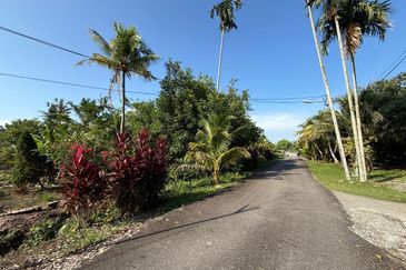 Rimba Terjun Pontian