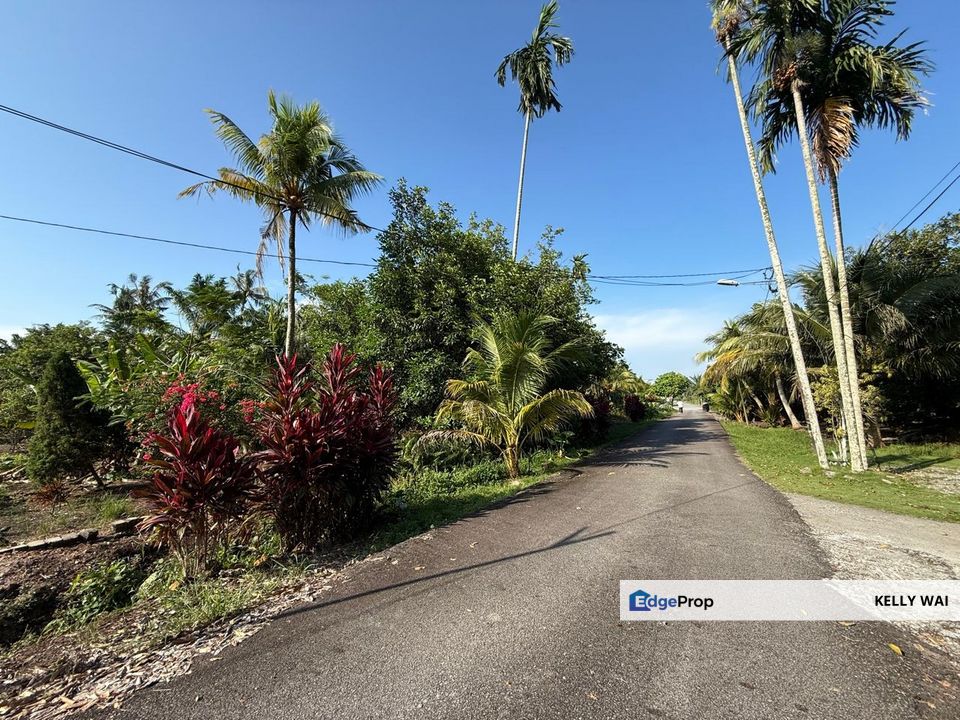 Sri Bunian @ Mukim Rimba Terjun 11 acres Agricultural Land For Sale, Johor, Pontian