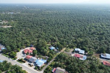 Rimba Terjun Pontian