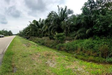 Rimba Terjun Pontian