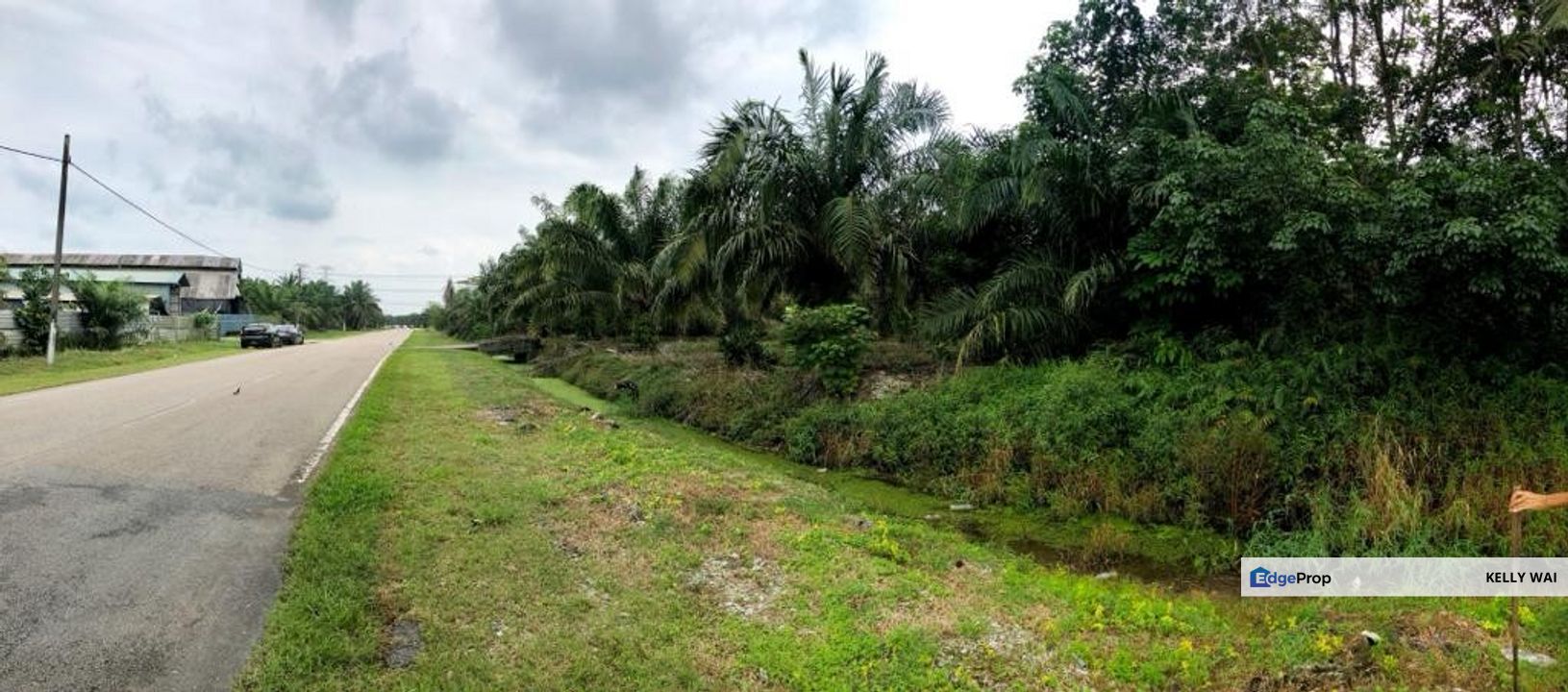 Johor @ Pontian 7.7 Acres Agricultural Land For Sale, Johor, Pontian