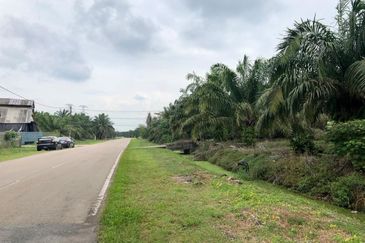 Rimba Terjun Pontian