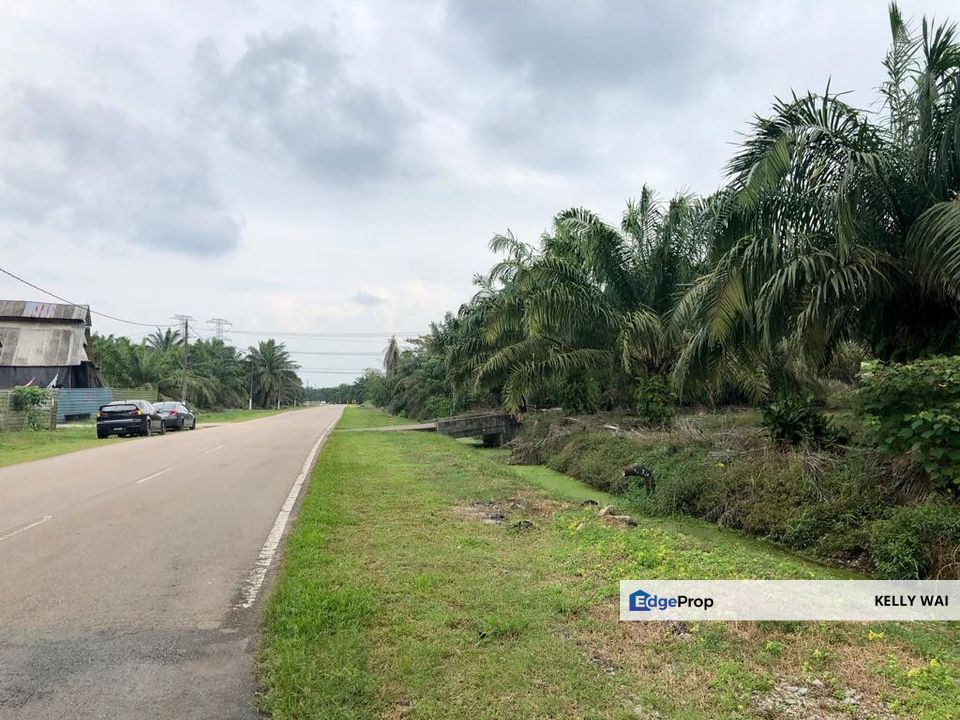 Johor @ Pontian 7.7 Acres Agricultural Land For Sale, Johor, Pontian