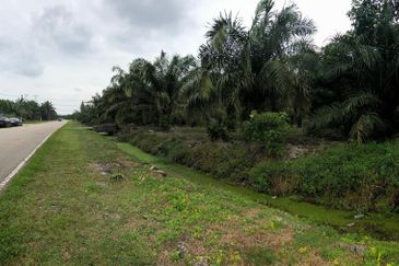 Rimba Terjun Pontian