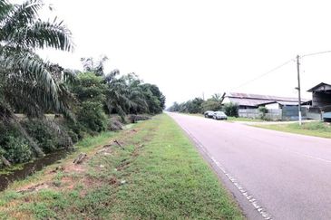 Rimba Terjun Pontian