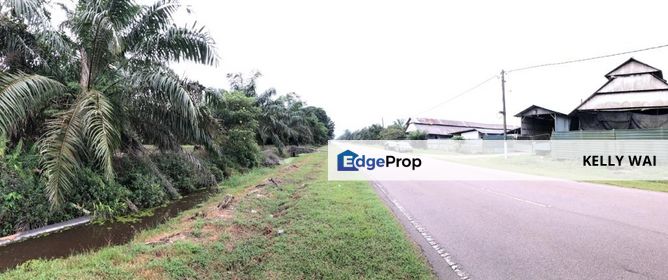 Johor @ Pontian 7.7 Acres Agricultural Land For Sale, Johor, Pontian